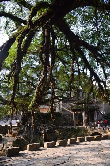 博皓游記 | 夏風(fēng)微醺的綺夢(mèng)，領(lǐng)略賀州黃姚古鎮(zhèn)、姑婆山閑憩之美-12
