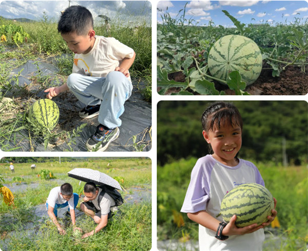 趣游盛夏，一路童行—2024年廣東博皓親子游   -12