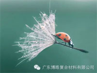 【博皓感悟】成功，要“借力”，不要“盡力”